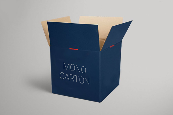 Mono-Carton- 600x400 - Zoom